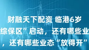 财融天下配资 临港6岁了，“数字综保区”启动，还有哪些业态“放得开”