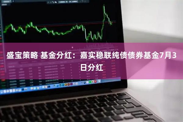 盛宝策略 基金分红：嘉实稳联纯债债券基金7月3日分红
