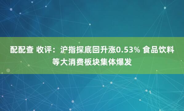配配查 收评：沪指探底回升涨0.53% 食品饮料等大消费板块集体爆发